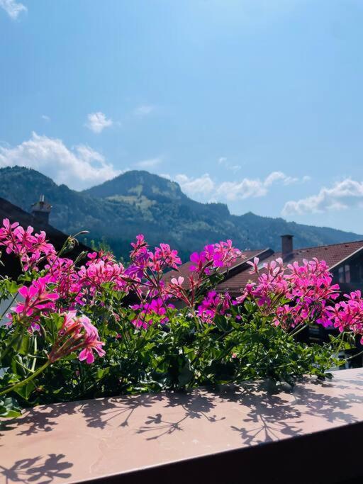 Berge, Wandern, Erholung Pur! Fewo Tinka-Haus Katja Bad Hindelang Eksteriør bilde